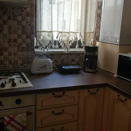 Victoria's Banu Manta Apartment Bucharest