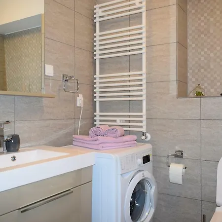 Apartment Victoria's Banu Manta Bucharest