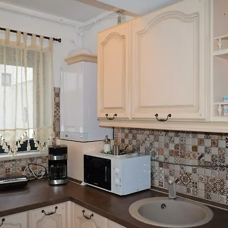 Victoria's Banu Manta Apartment Bucharest